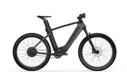 Mercedes-AMG F1 Rallye Electric Bike
